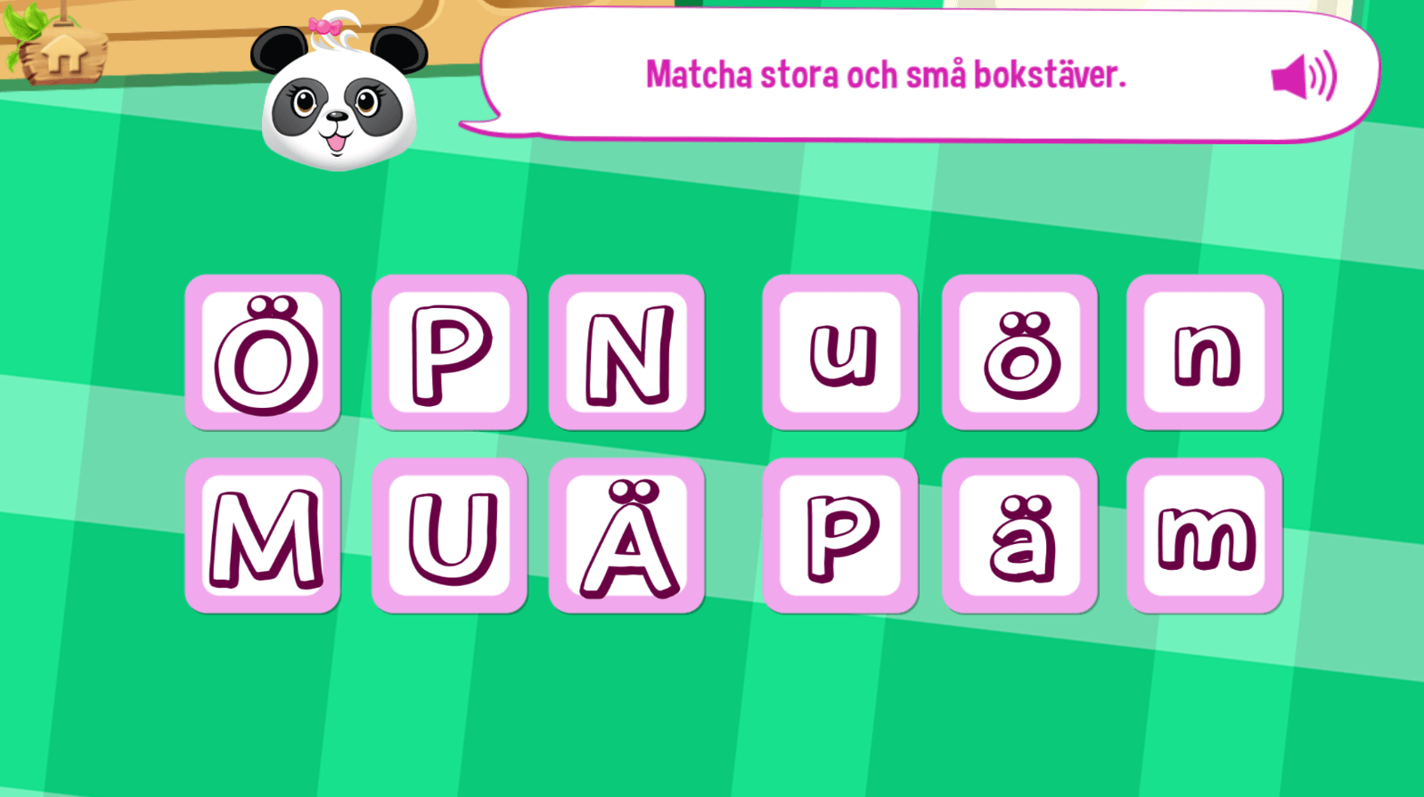 SWE match the small and capital letters